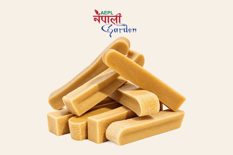 Himalayan Dog Chews — Hard yak-cheese churpi