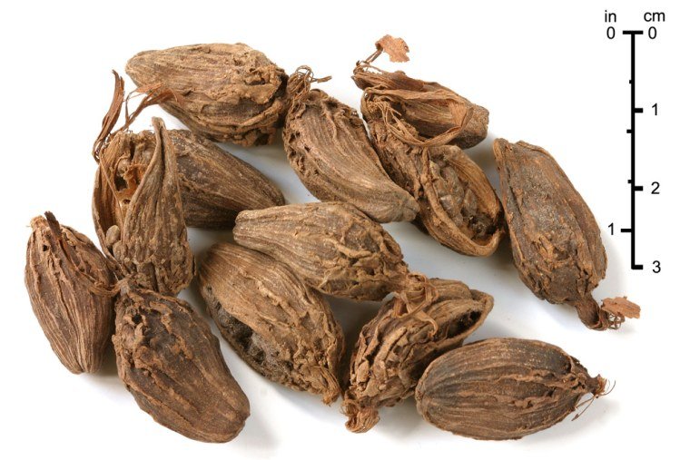Spices & Agro Produce — Cardamom, timur, ginger, honey