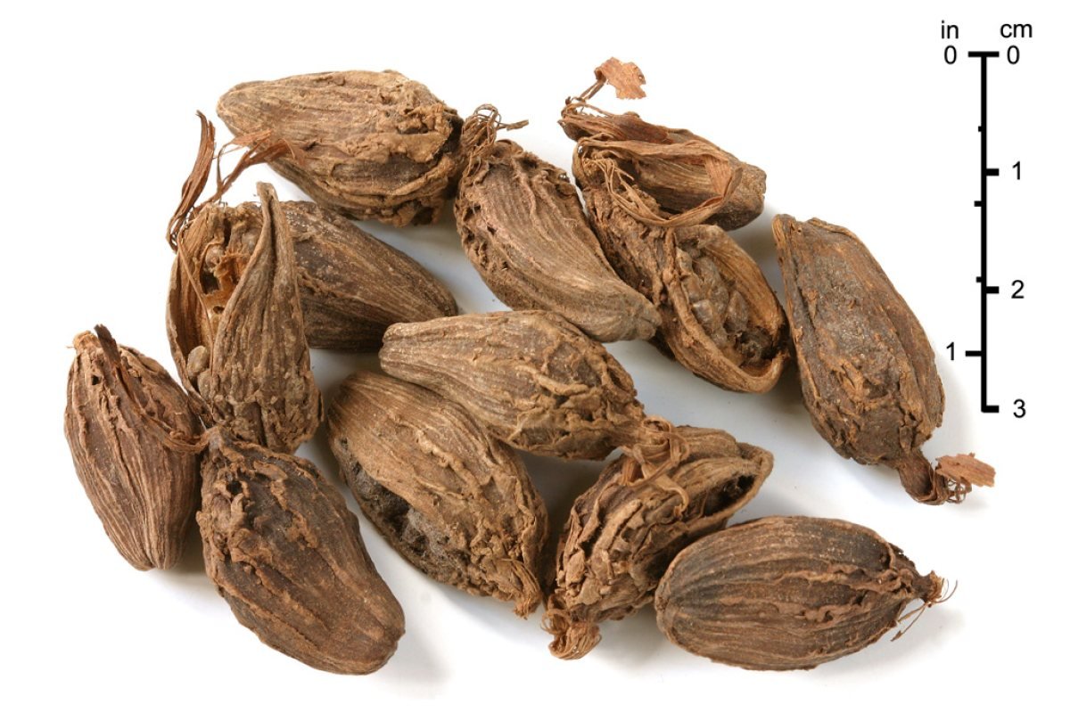 Spices & Agro Produce — Cardamom, timur, ginger, honey