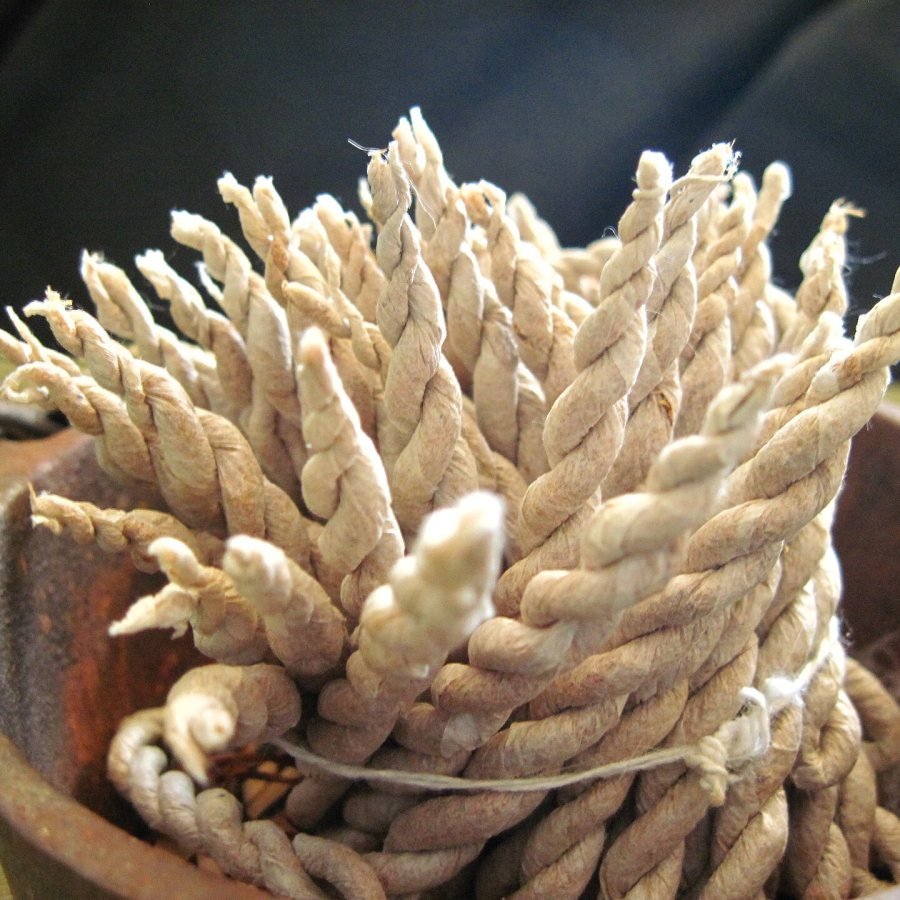 Himalayan Juniper Rope Incense — Incense & Herbs